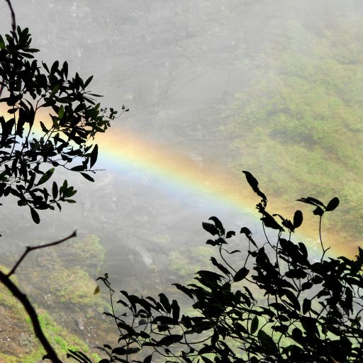 Safari in Namibia und krönender Abschluss in Victoria Falls