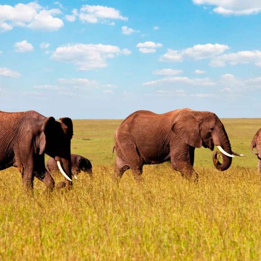 Quer Durch Afrika Von Sudafrika Nach Uganda Moja Travel